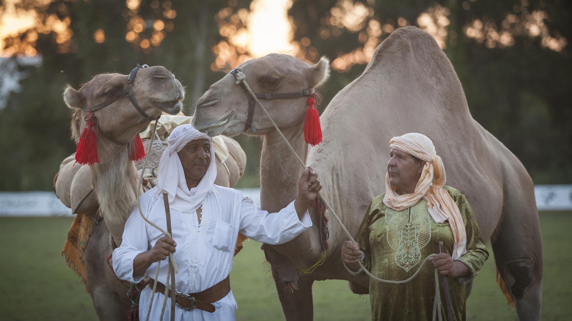 Spectacle Fantasia -BMW Polo Masters  Night St Tropez-Gassin 2013 - Morgane Delfosse - 26-10-13.82