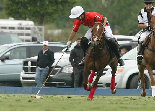 orchardhill polo team audi polo team ipc polo club alex pacheco polo photos 4