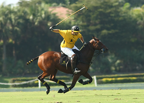 polo photos alex pacheco haas cup finals polo magazine 2