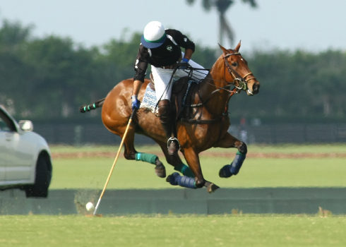polo photos alex pacheco haas cup finals polo magazine 3