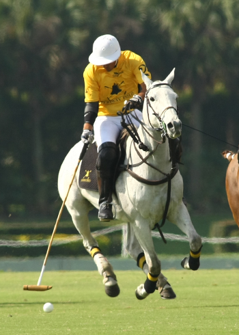 polo photos alex pacheco haas cup finals polo magazine 7
