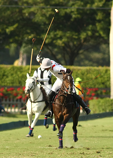 Final C.V.Whitney Cup 5