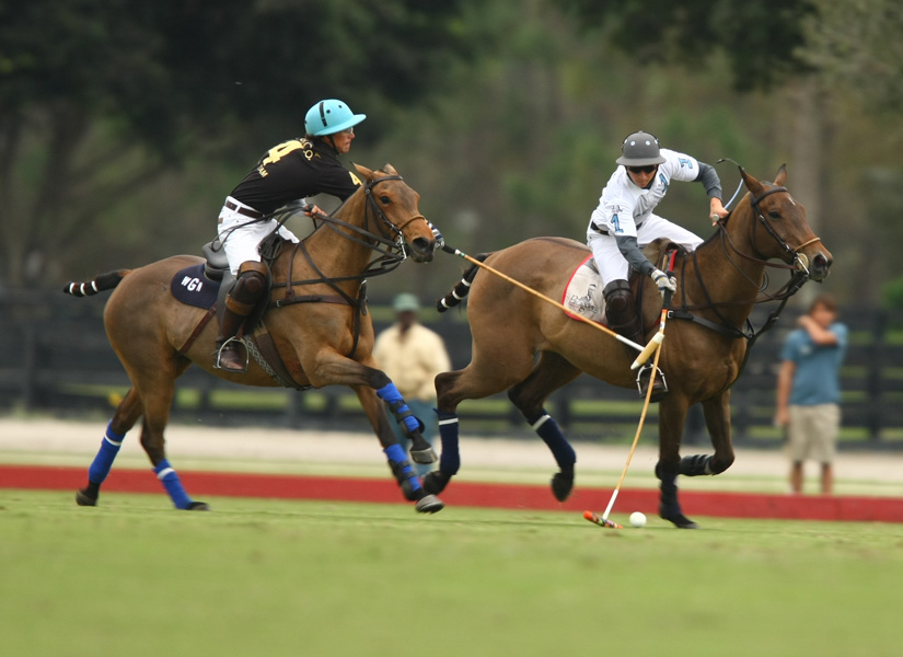 polomagazinepoloteamspolotournament2014 3