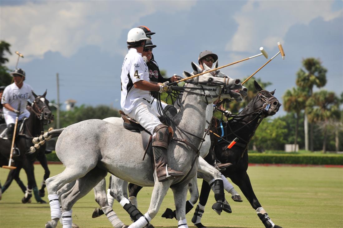 DSC 3347a Ami De La Mer POLO Magazine