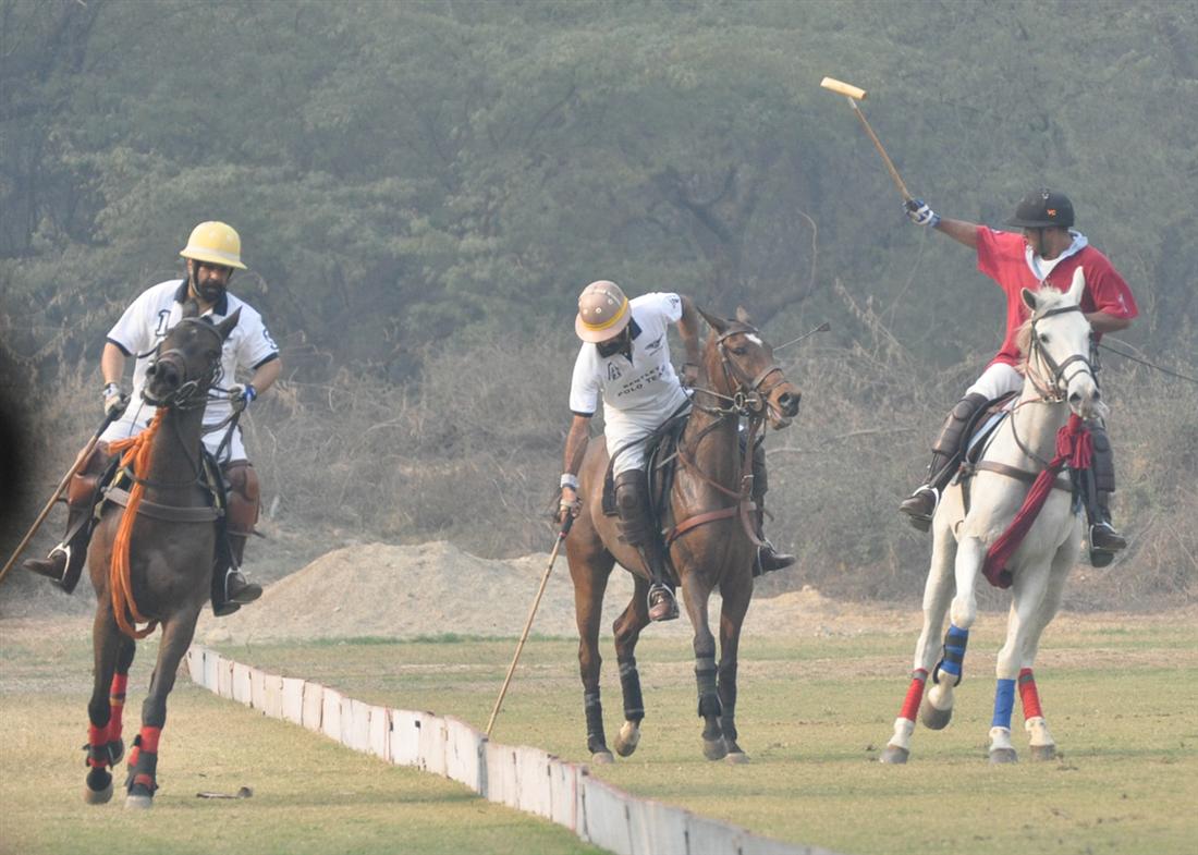 In the Pursuit of One's Passions