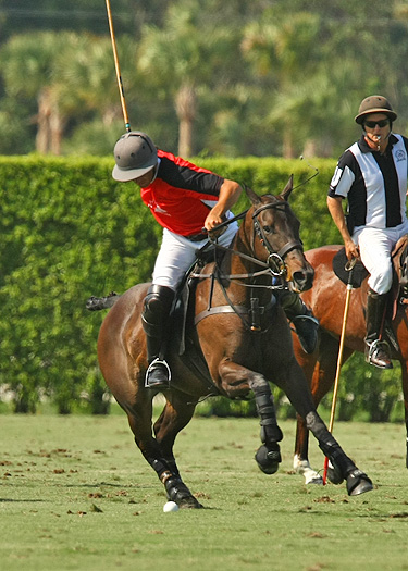 polo magazine US Open polo photos-Alegria ERG polo team 3