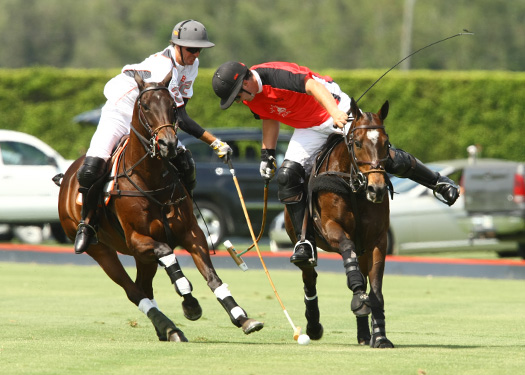 polo magazine US Open polo photos-Alegria ERG polo team 5