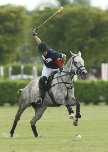 polophotopalmcitypoloclubpolomag 3